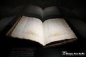 VBS_4106 - Mostra Il Rinascimento in Piemonte - Castello della Rovere - Vinovo 